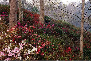 《地平线》在线合作游戏已经开发了将近6年